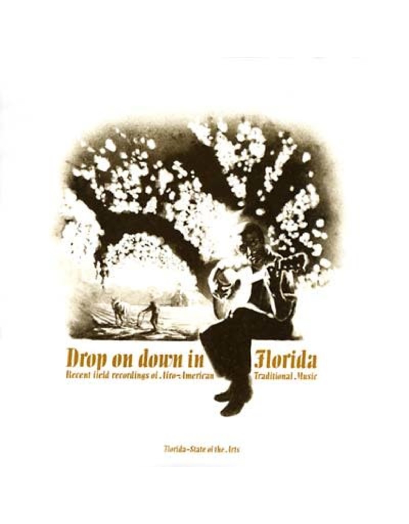New Vinyl Various - Drop On Down In Florida 2LP