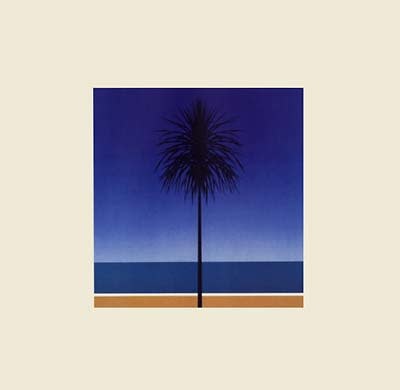 New Vinyl Metronomy - The English Riviera LP