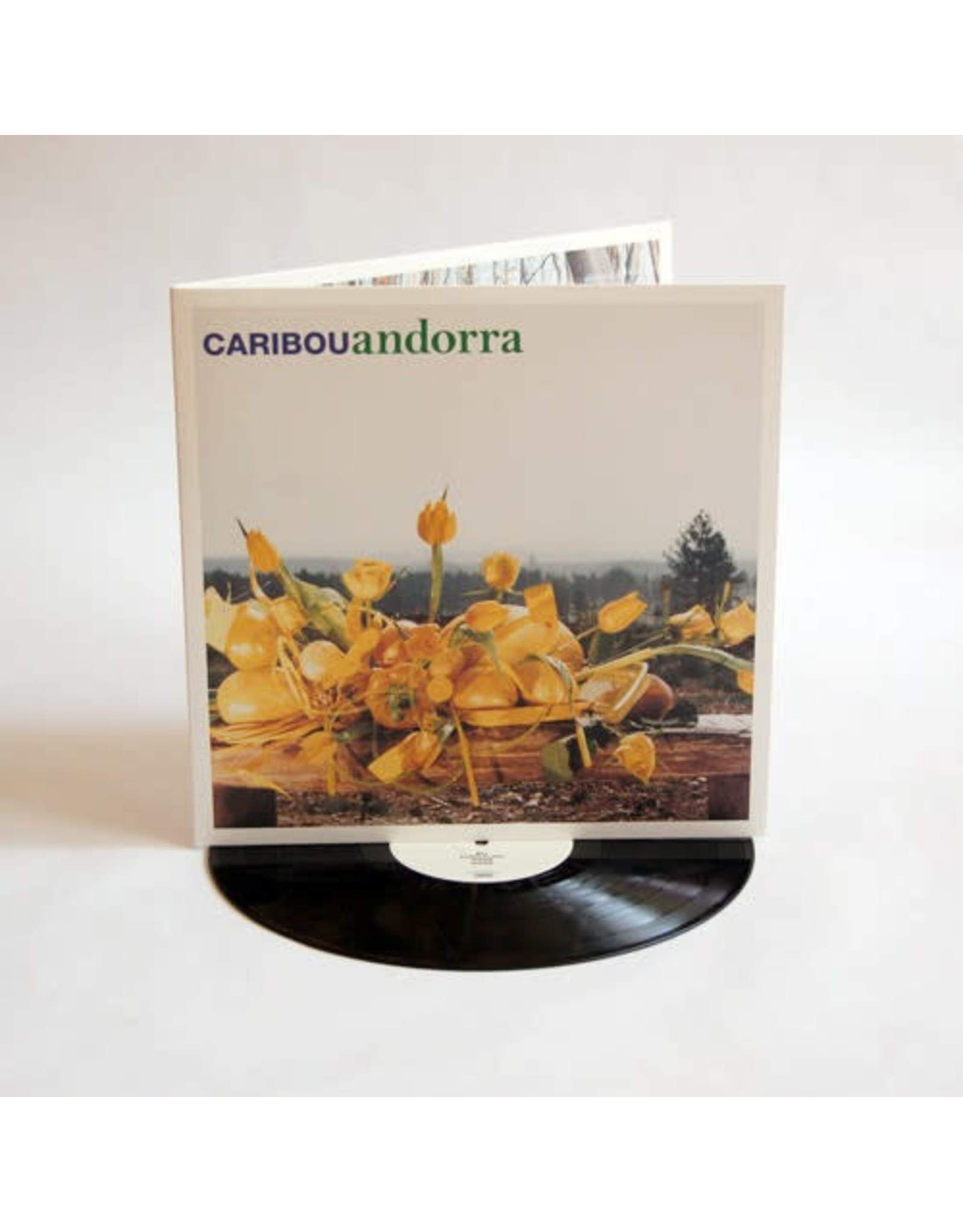 New Vinyl Caribou - Andorra LP