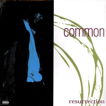 New Vinyl Common - Resurrection LP