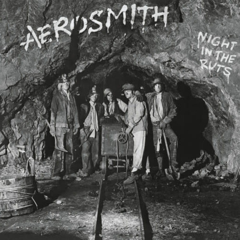 New Vinyl Aerosmith - Night in the Ruts (180g) LP