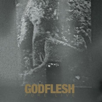 New Vinyl Godflesh - Pure Live 2LP