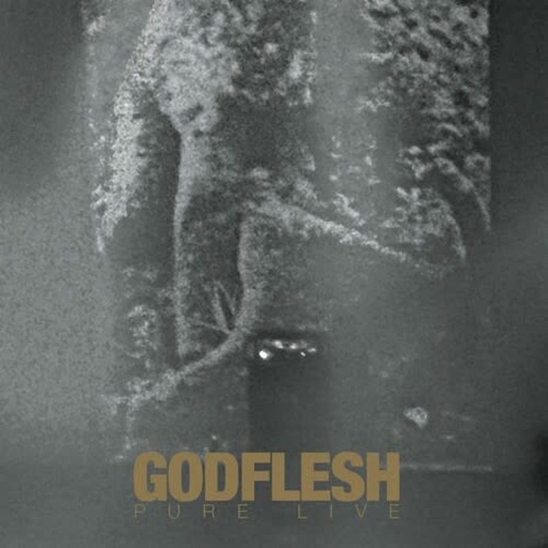 New Vinyl Godflesh - Pure Live 2LP