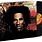 New Vinyl Bob Marley & The Wailers - Natty Dread (Jamaican Reissue) LP