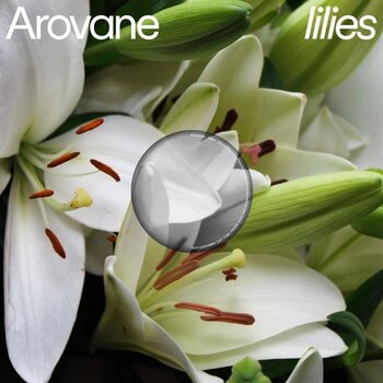 New Vinyl Arovane - Lilies (Limited) LP