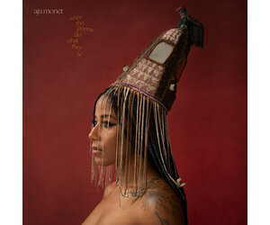 aja monet - when the poems do what they do 2LP - Sweat Records
