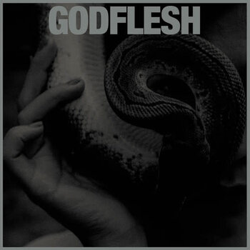 New Vinyl Godflesh - Purge (Silver/Gold) LP