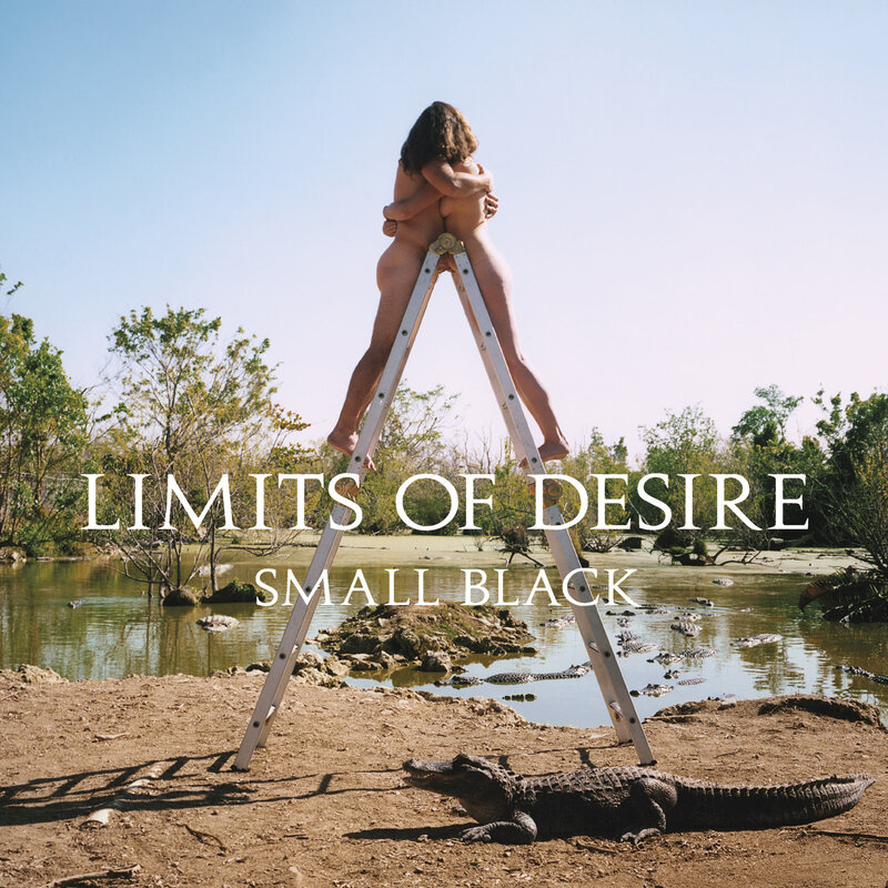 New Vinyl Small Black - Limits of Desire (10th Anniversary, Limited, Coke Bottle Clear) 2LP