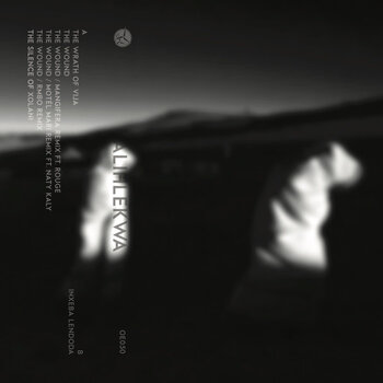 New Cassette João Orecchia - Presents Alihlekwa CS