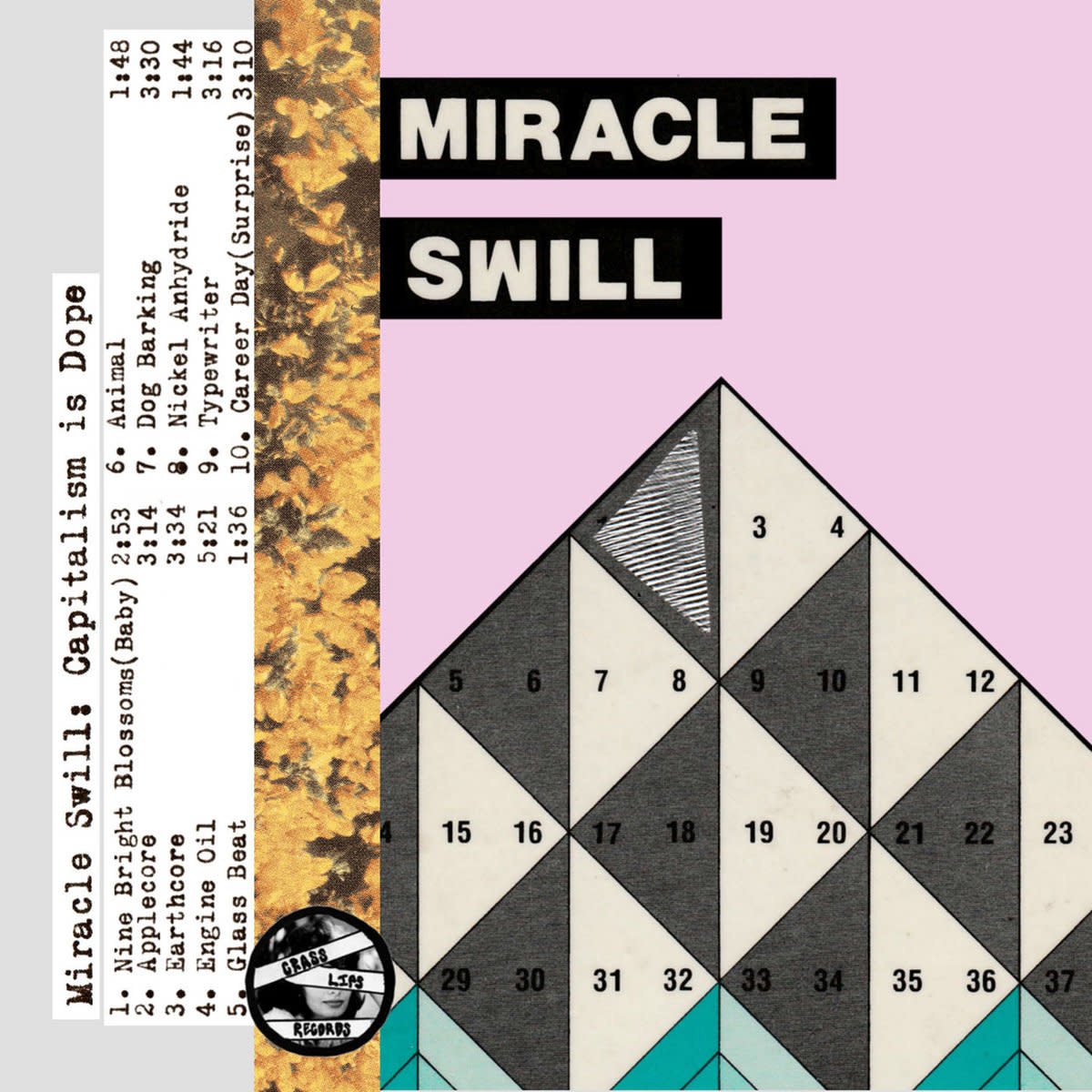 New Cassette Miracle Swill - Capitalism is Dope CS
