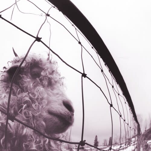 New Vinyl Pearl Jam - Vs. (30th Anniversary, Remastered, 45rpm, 180g) 2LP