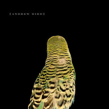 New Vinyl Andrew Bird - Armchair Apocrypha LP