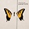 New Vinyl Paramore - Brand New Eyes LP
