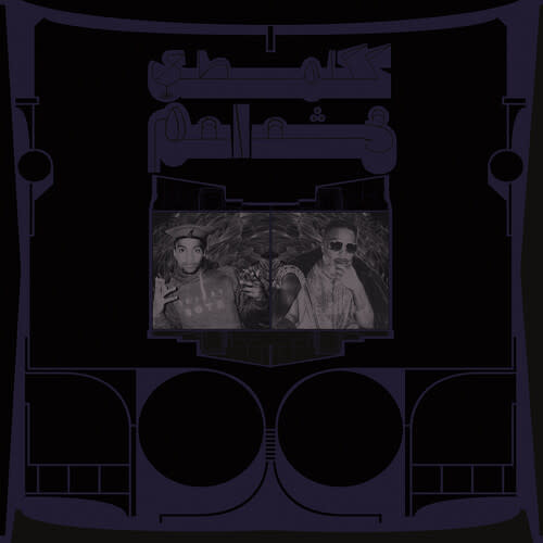 New Vinyl Shabazz Palaces - Exotic Birds of Prey (Limited, White) LP