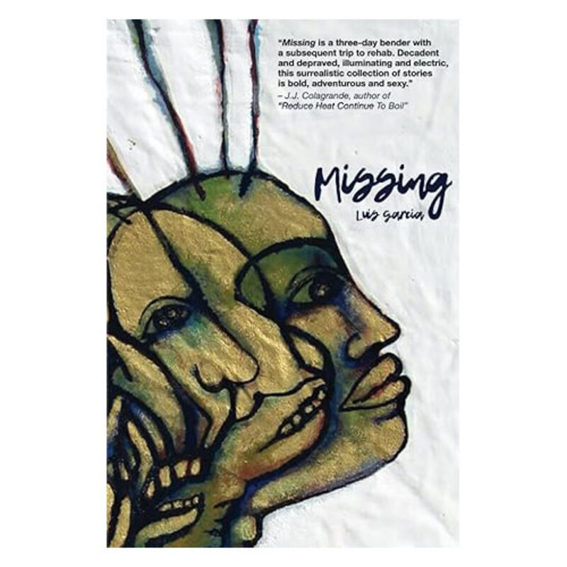 Book Luis Garcia: Missing (Paperback)