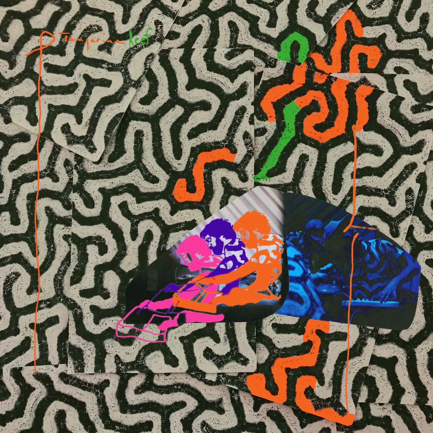 New Vinyl Animal Collective - Tangerine Reef (180g) 2LP