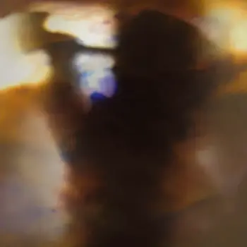 New Vinyl Animal Collective - Fall Be Kind EP 12"