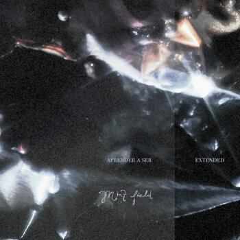 New Vinyl Mint Field - Aprender a Ser: Extended (Clear) LP