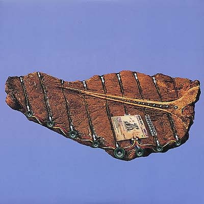 New Vinyl Phoenecia - Odd Job 12"