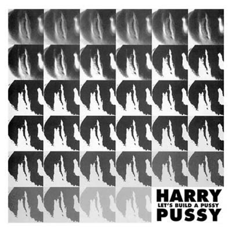 New Vinyl Hairy Pussy - Let's Build a Pussy 2LP