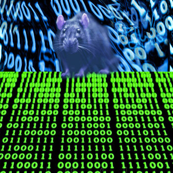 New Cassette Nick Forté - Data Rat CS