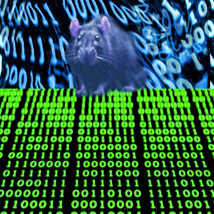 New Cassette Nick Forté - Data Rat CS