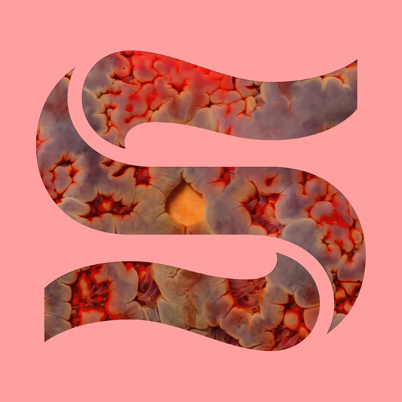 New Vinyl Kaitlyn Aurelia Smith & Joe Goddard - Neptunes EP 12"