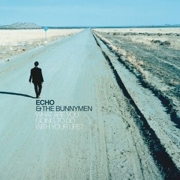New Vinyl Echo & The Bunnymen - What Are You Going To Do With Your Life? (25th Anniversary, Clear) LP