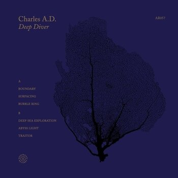 New Vinyl Charles A.D. - Deep Diver LP