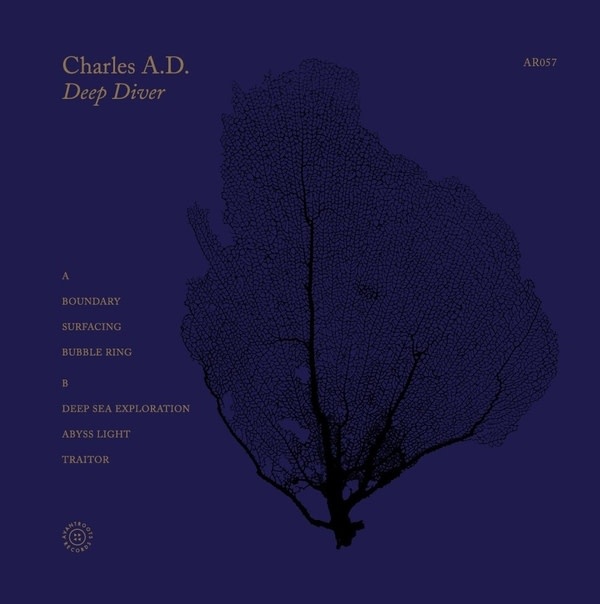 New Vinyl Charles A.D. - Deep Diver LP
