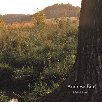 New Vinyl Andrew Bird - Noble Beast 2LP