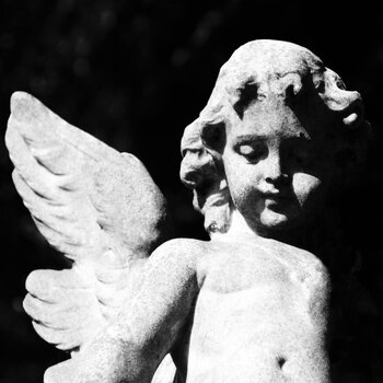 New Vinyl Cold Cave - Passion Depression (Limited, Black Ice Glitter) LP