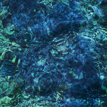 New Vinyl Ichiko Aoba - Luminescent Creatures LP