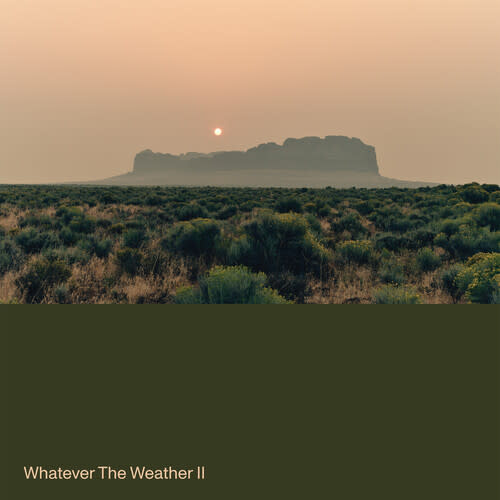New Vinyl Whatever the Weather - Whatever the Weather II (Green) LP