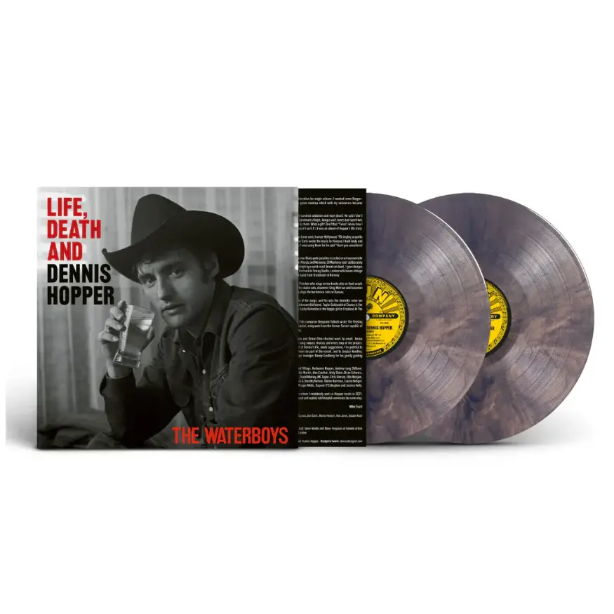 New Vinyl The Waterboys - Life, Death And Dennis Hopper (IEX, Gray Swirl) 2LP