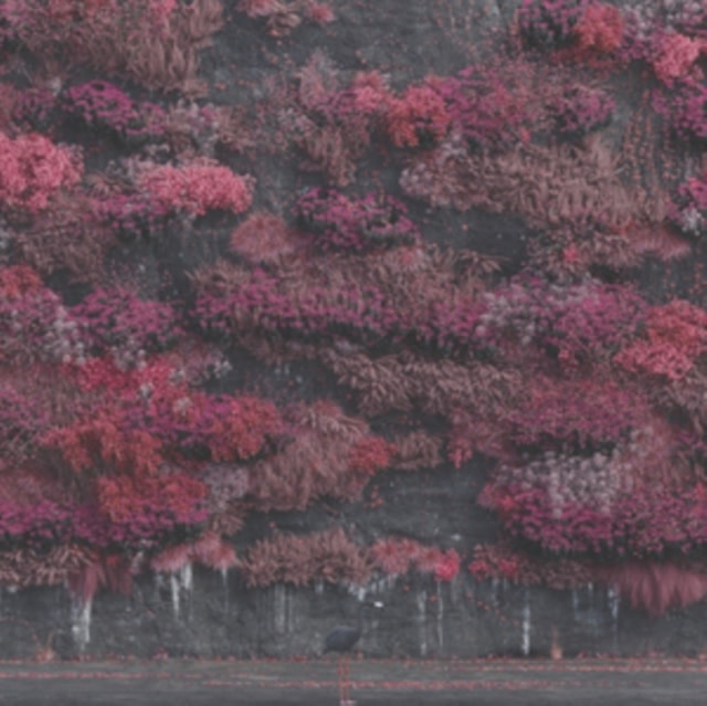 New Vinyl Sleep Token - Even In Arcadia (Poster) 2LP