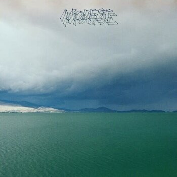 New Vinyl Modest Mouse - Fruit That Ate Itself LP