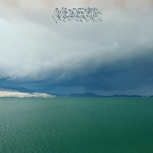 New Vinyl Modest Mouse - Fruit That Ate Itself LP