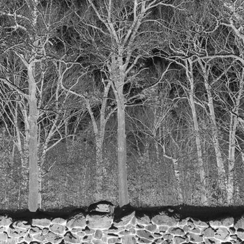 New Vinyl Pile - Sunshine and Balance Beams (Purple) LP