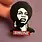 Enamel Pin Nina Simone Enamel Pin