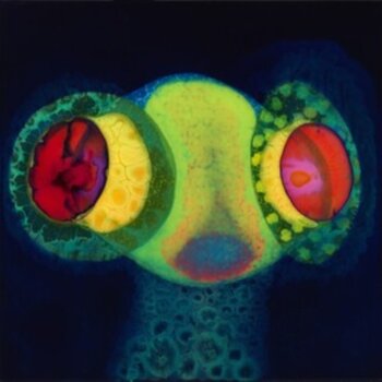 New Vinyl Osees - Sorcs 80 (IEX) LP