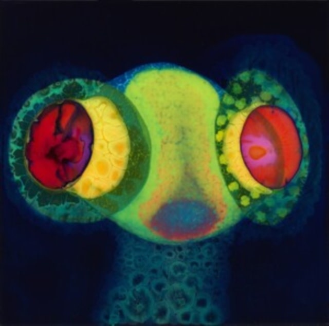 New Vinyl Osees - Sorcs 80 (IEX) LP