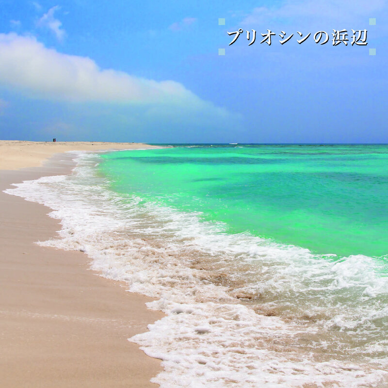 Ken-ichiro Isoda - Beach of the Pliocene 2LP - Sweat Records