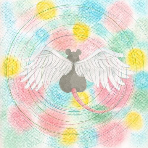 New Vinyl Mei Semones -  Animaru LP