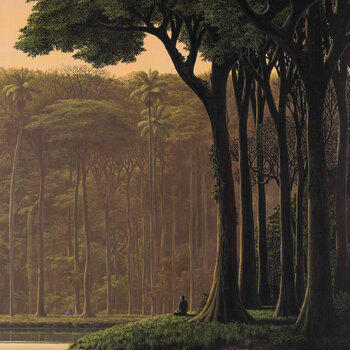 New Vinyl El Búho - Natura Sonora LP