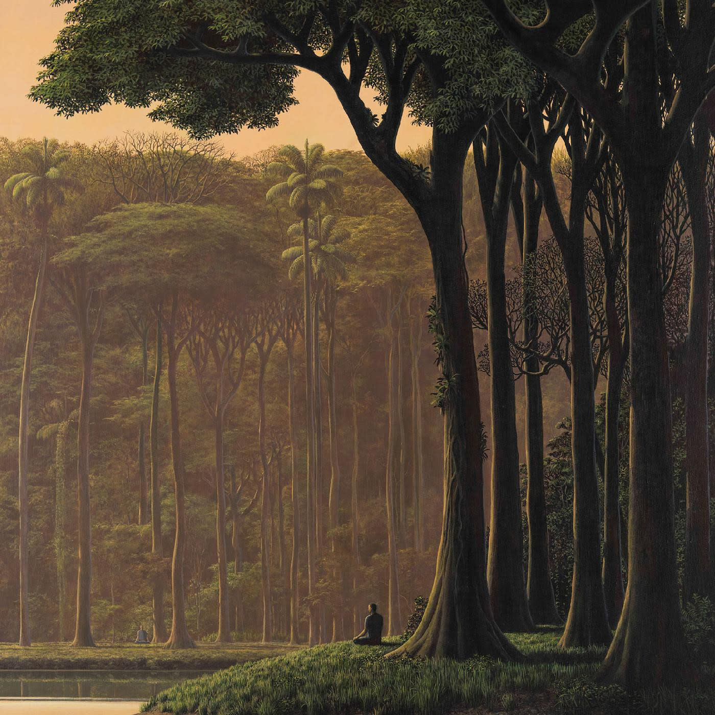 New Vinyl El Búho - Natura Sonora LP