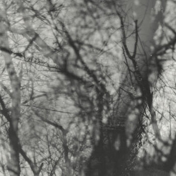 New Vinyl Grouper - Way Their Crept (Reissue) LP