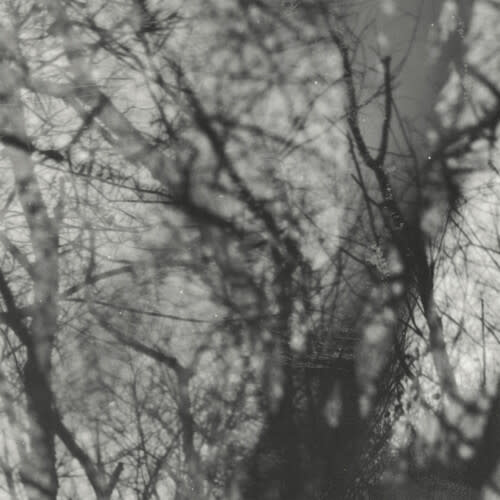 New Vinyl Grouper - Way Their Crept (Reissue) LP