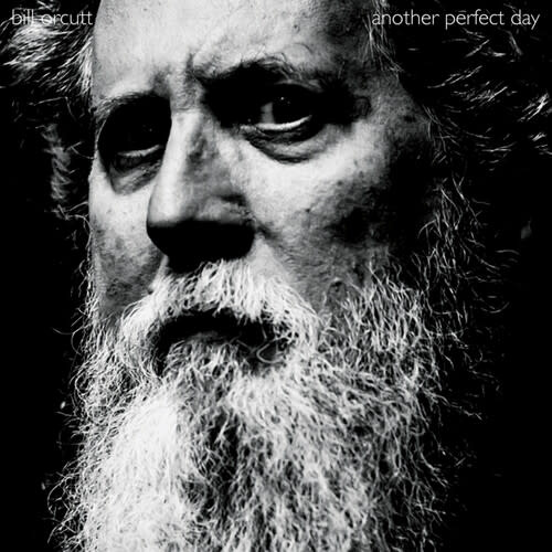 New Vinyl Bill Orcutt - Another Perfect Day LP