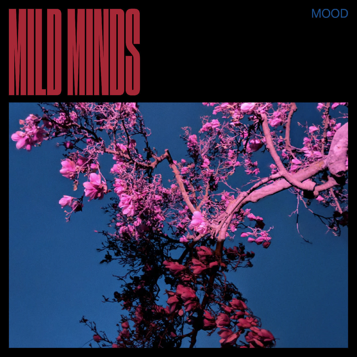 New Vinyl Mild Minds - Mood (Blue) LP